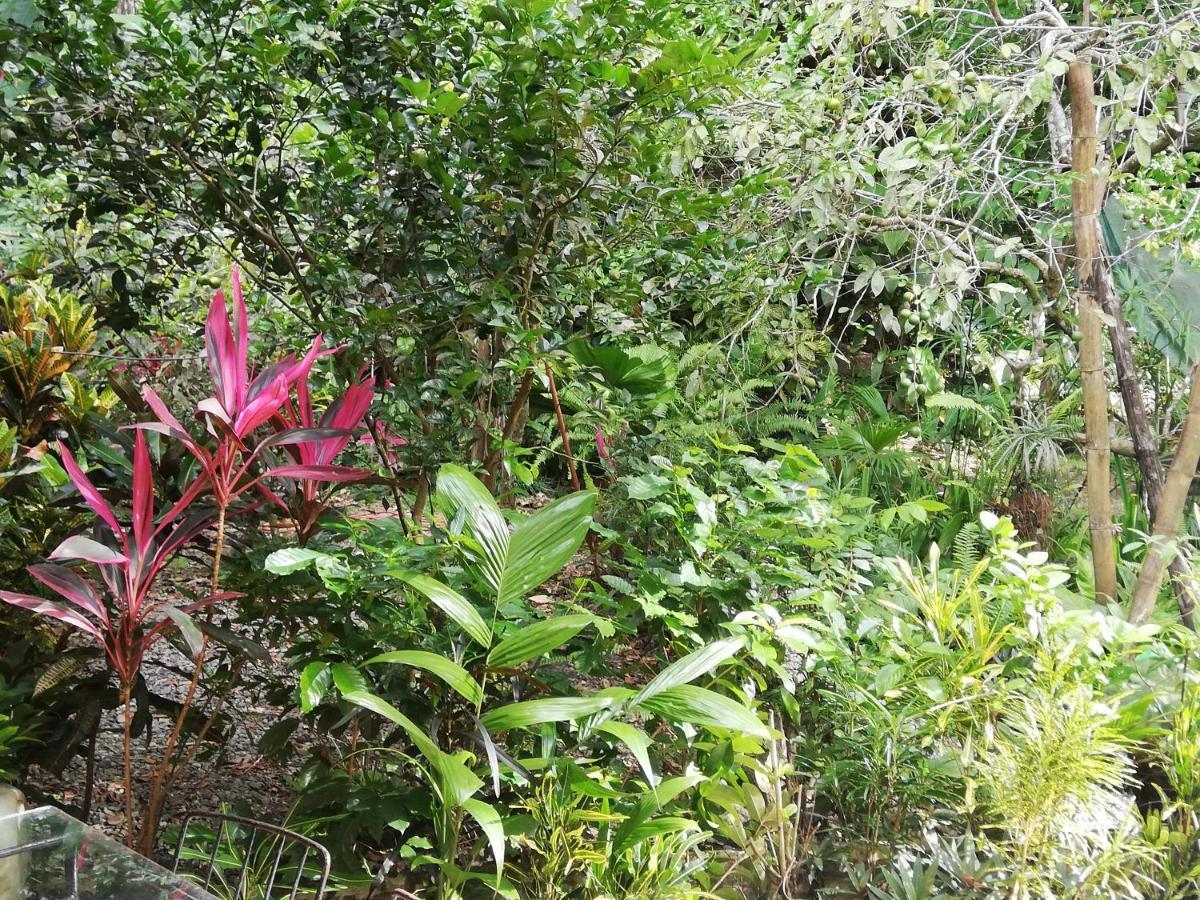 La Montanita Lodge มานูเอล อันโตนิโอ ภายนอก รูปภาพ